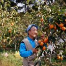 신곡농장 이미지