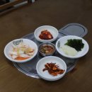 동해계절맛집 이미지