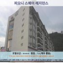 피오니 | 카메론 하일렌즈 여행 추천! 피오니 스퀘어 레지던스 호텔 후기