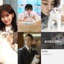 냥이친구 이미지