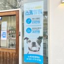 뉴케어동물병원 이미지