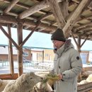 화대목장 이미지