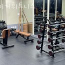 타이거 휘트니스 이미지