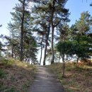 완도해송팬션 이미지