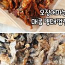 오징어파는언니 이미지