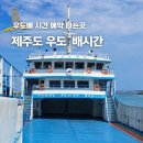 우도 선착장 장애인용 | 제주 우도 배시간 제주도 성산항 선착장 가는 배편 예약 타는곳