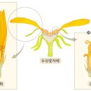 천보산 유아숲체험원 이미지