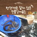 환절기 기력 회복, 출산 후 몸보신으로 챙겨본 영신민물장어 장어즙 후기