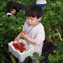 부여서울 이미지