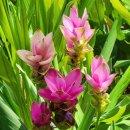 아산가든 이미지