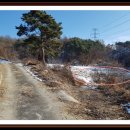 호문리농로 이미지