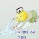 예담치과 | 제베원 장하오, 성한빈은 앞으로 잘 살일만 남았는데 너는 시험 못보면 사람 구실 못한다