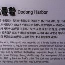 도동 이미지