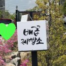 배꼽제빵소