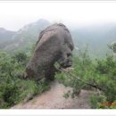 영암터미널 진입로 이미지