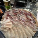 오군포차 | 수원 성대 오군포차 리얼 후기🐟