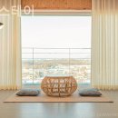 뚱새스테이 이미지