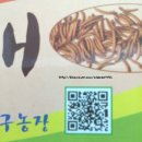 구미곤충산업농장 이미지