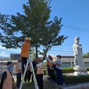 [대구큰절/ 제27대 총동문신도회 청도/ 참좋은 이서중ㆍ고등학교 교정內 보리수나무 열매수확] 이미지