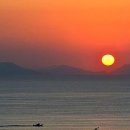 일출전자 이미지