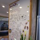 레인보우동물병원 이미지