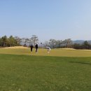 여주-0801 네이버블로그