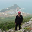 향촌마을 Daum카페
