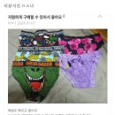 내취향 웃긴짤 모음 이미지