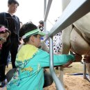 젖소목장 이미지