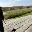 율곡약국 | 애견동반 파주 가볼만한 곳 코스모스 축제는 율곡습지보다 문산노을길