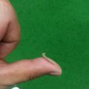 싱골프연습장 이미지