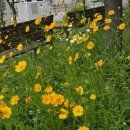 내덕2동 행정복지센터 이미지