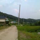 우두산길 이미지