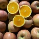 우리물산 이미지