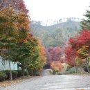 임실고등학교 이미지