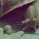 기두농장 이미지