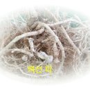 자연산약초마을 이미지