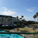 홍연카써비스 | [공지] 제주 그랜드 조선 풀 사이드 디럭스 후기 (Feat. 조선호텔 VIP 플래티넘/발렛)