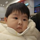 [공지] 주간일기ep279. 전쟁같은 육아기록에 한스푼 여행 힐링 더하기