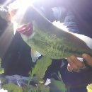 청도천10 이미지