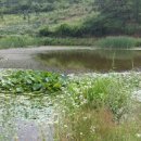 은해 농장 이미지