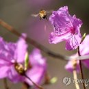 행복이있는공간 이미지