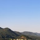 사궁두미 479 이미지