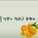 얼마나오렌지