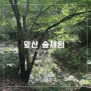 앞산어린이공원 | 대구 숲체험 수업 앞산 고산골 유아숲체험원 대구숲놀이