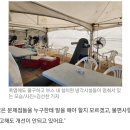 화장실이 80년대 수준이라는 충격과 공포의 잼버리 야영장 상태 이미지