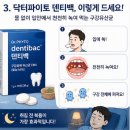 정닥터닷컴 | 닥터파이토 구강유산균 효과 내돈내산 후기 가격 효능