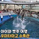 아프리칸아트 | 아이와 벳푸 여행 3일차┃비 오는 날 가볼 만한 곳 우미타마고 수족관 후기