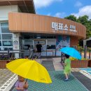 태안여행 서산여행 서산 버드랜드 방문 후기 주차장 매표 수유실