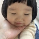 선동물병원(출장진료전문) | [육아일기 / 2025.10~2025.11] 화성 자가(거의대출)에 소기업 다니는 신 과장 이야기